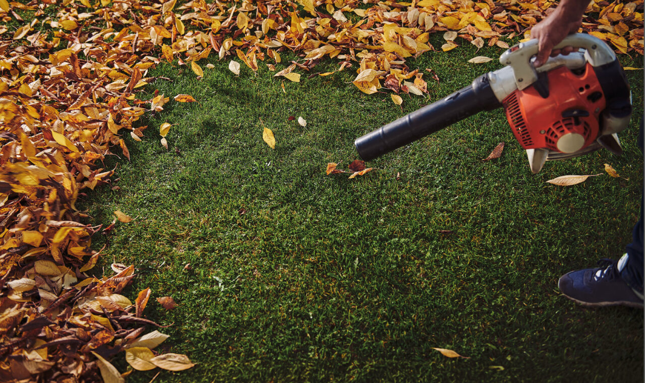 Ein Laubbläser entfernt Herbstlaub von einer Stelle auf dem Rasen